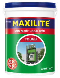 SƠN NƯỚC NGOÀI TRỜI MAXILITE TOUGH